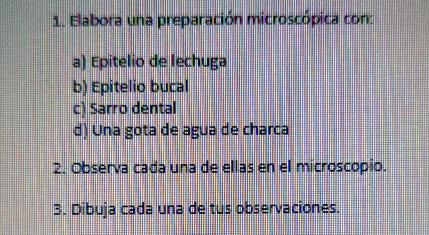 Elabora una preparación microscópica con: 
a) Epitelio de lechuga 
b) Epitelio bucal 
c) Sarro dental 
d) Una gota de agua de charca 
2. Observa cada una de ellas en el microscopio. 
3. Dibuja cada una de tus observaciones.