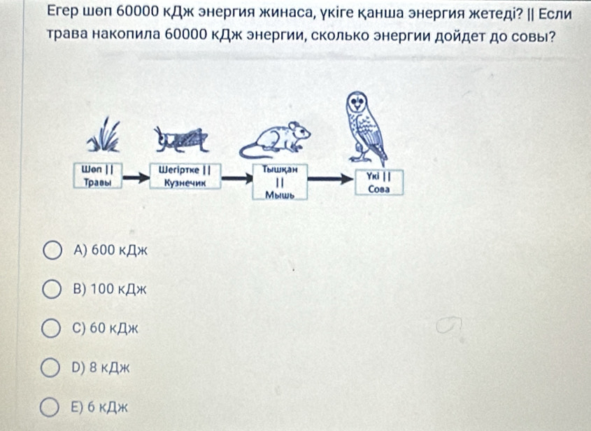 Εгер шθп б000о кДж энергия жинаса, γкіге канша энергия жетеді? ‖ Εсли
Трава наколила б00ОО кДж энергии, сколько энергии дойдет до совы?
A) 600 κДж
B) 100 KДж
C) 60 kДж
D) BKDH
E) 6 кДж