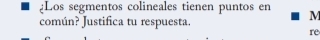 ¿Los segmentos colineales tienen puntos en M 
común? Justifica tu respuesta. 
re