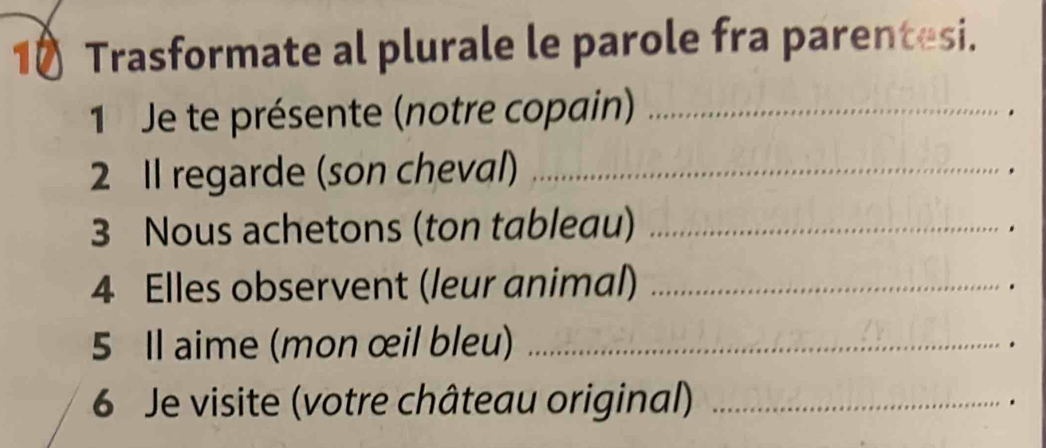 Trasformate al plurale le parole fra parentesi. 
1 Je te présente (notre copain)_ 
2 Il regarde (son cheval)_ 
, 
3 Nous achetons (ton tableau)_ 
. 
4 Elles observent (leur animal)_ 
. 
5 Il aime (mon œil bleu)_ 
. 
6 Je visite (votre château original) _.