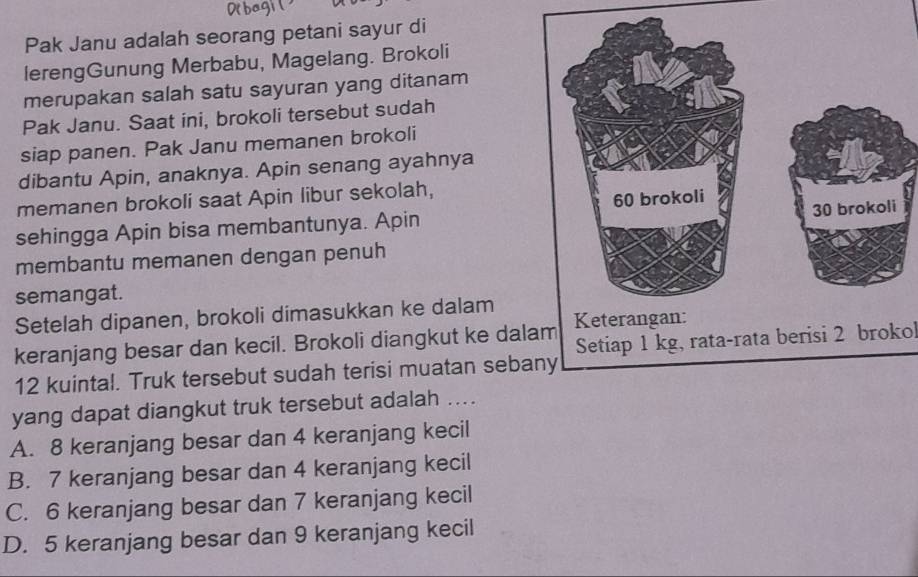 Pak Janu adalah seorang petani sayur di
lerengGunung Merbabu, Magelang. Brokoli
merupakan salah satu sayuran yang ditanam
Pak Janu. Saat ini, brokoli tersebut sudah
siap panen. Pak Janu memanen brokoli
dibantu Apin, anaknya. Apin senang ayahnya
memanen brokoli saat Apin libur sekolah,
sehingga Apin bisa membantunya. Apin 
membantu memanen dengan penuh
semangat.
Setelah dipanen, brokoli dimasukkan ke dalam
keranjang besar dan kecil. Brokoli diangkut ke dal
Setiap 1 kg, rata-rata berisi 2 brokol
12 kuintal. Truk tersebut sudah terisi muatan seba
yang dapat diangkut truk tersebut adalah ....
A. 8 keranjang besar dan 4 keranjang kecil
B. 7 keranjang besar dan 4 keranjang kecil
C. 6 keranjang besar dan 7 keranjang kecil
D. 5 keranjang besar dan 9 keranjang kecil