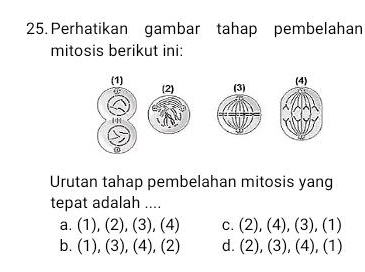 Perhatikan gambar tahap pembelahan
mitosis berikut ini:
(1) (2) (3)
(4)
0
Urutan tahap pembelahan mitosis yang
tepat adalah ....
a. (1),(2),(3),(4) C. (2),(4), (3), (1)
b. (1),(3), (4),(2) d. (2),(3), (4), (1)