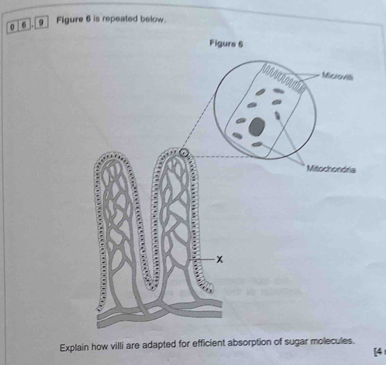 0 [6 ]. 9] Figure 6 is repeated below. 
Explain how villi are adapted for efficient absorption of sugar molecules. 
[4