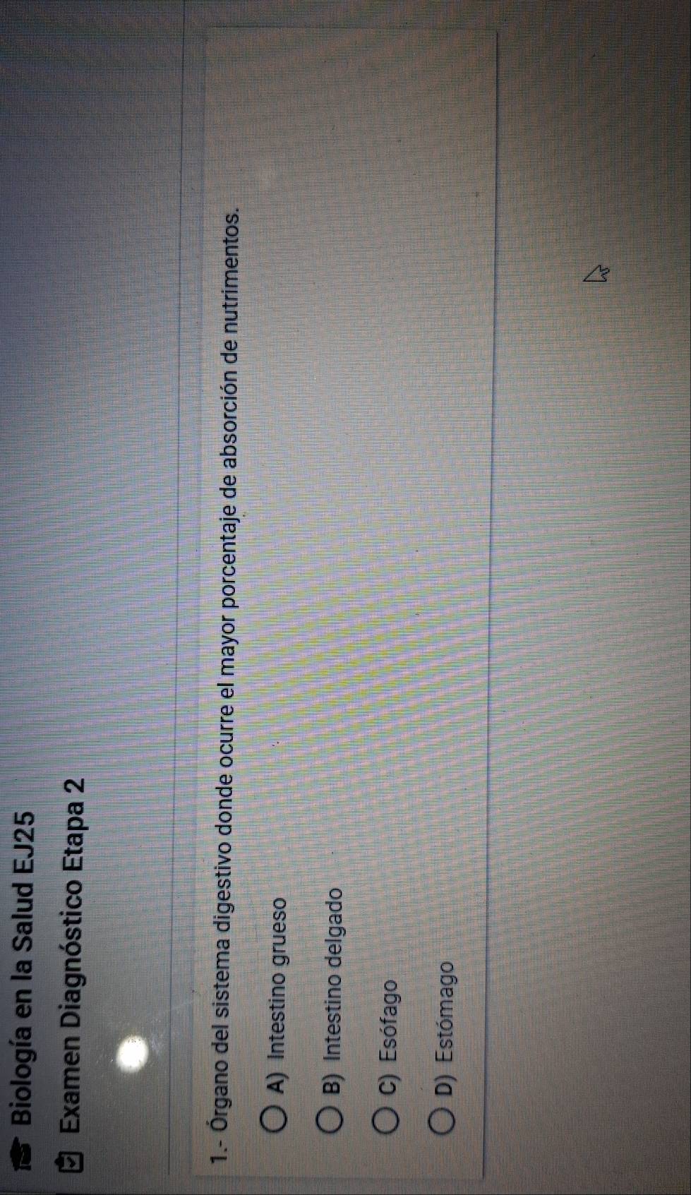 Biología en la Salud EJ25
Examen Diagnóstico Etapa 2
1.- Órgano del sistema digestivo donde ocurre el mayor porcentaje de absorción de nutrimentos.
A) Intestino grueso
B) Intestino delgado
C) Esófago
D) Estómago