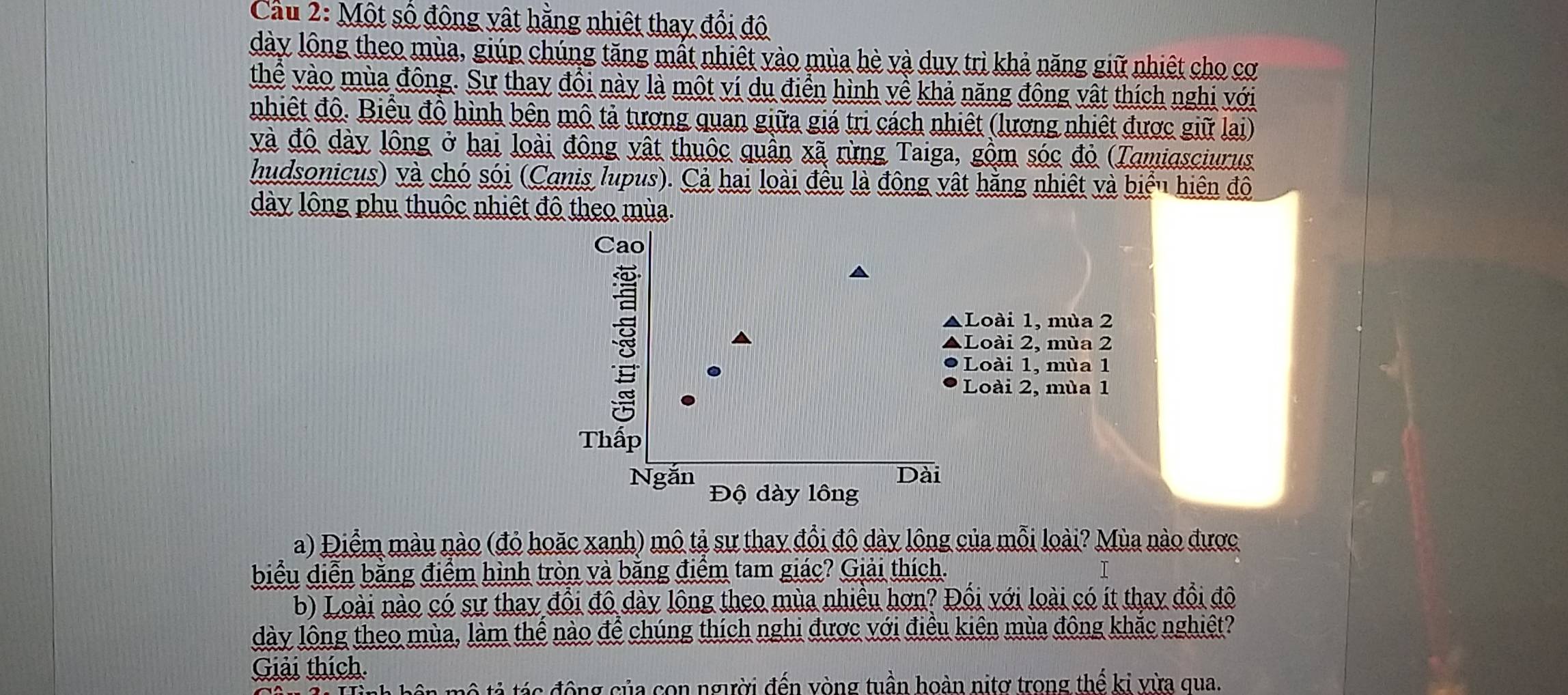 Cầu 2: Một số động vật hằng nhiệt thay đổi độ
dày lông theo mùa, giúp chúng tăng mất nhiệt vào mùa hè và duy trì khả năng giữ nhiệt cho cơ
thể vào mùa đông. Sự thay đổi này là một ví du điển hình về khả năng đông vật thích nghi với
nhiệt độ. Biểu đồ hình bên mô tả tương quan giữa giá trị cách nhiệt (lương nhiệt được giữ lai)
và đô dày lông ở hai loài động vật thuộc quần xã rừng Taiga, gồm sóc đỏ (Tamiasciurus,
hudsonicus) và chó sói (Canis lupus). Cả hai loài đều là động vật hăng nhiệt và bien hiện độ
dày lông phụ thuộc nhiệt đô theo mùa.
Cao
▲Loài 1, mùa 2
Loài 2, mùa 2
Loài 1, mùa 1
Loài 2, mùa 1
Thấp
Dai 
Ngắn Độ dày lông
a) Điểm màu nào (đỏ hoặc xanh) mô tả sư thay đổi đô dày lông của mỗi loài? Mùa nào được
biểu diễn bằng điểm hình tròn và bằng điểm tam giác? Giải thích.
b) Loài nào có sư thay đổi đô dày lông theo mùa nhiều hơn? Đối với loài có ít thay đổi đô
dày lông theo mùa, làm thể nào để chúng thích nghi được với điều kiên mùa đông khắc nghiệt?
Giải thích.
t ô t tá c động của con người đến vòng tuần hoàn nitơ trong thể ki vừa qua.