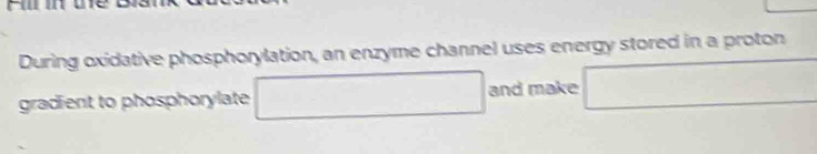 Fil in te 
During oxidative phosphorylation, an enzyme channel uses energy stored in a proton 
gradient to phosphorylate □ and make □