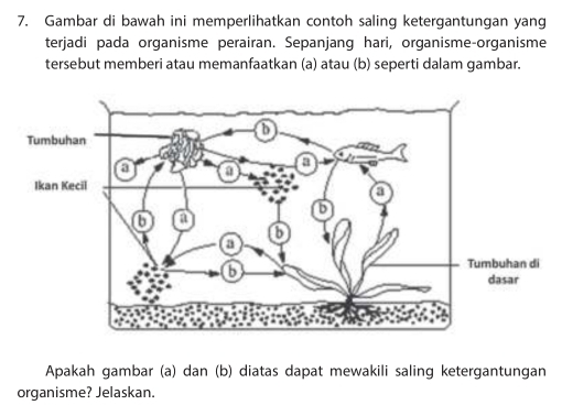 Gambar di bawah ini memperlihatkan contoh saling ketergantungan yang 
terjadi pada organisme perairan. Sepanjang hari, organisme-organisme 
tersebut memberi atau memanfaatkan (a) atau (b) seperti dalam gambar. 
Apakah gambar (a) dan (b) diatas dapat mewakili saling ketergantungan 
organisme? Jelaskan.