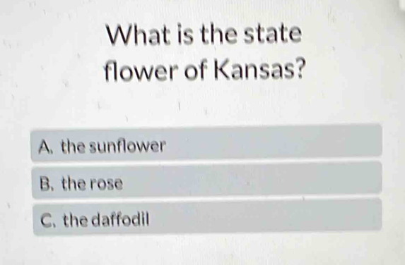 What is the state
flower of Kansas?
A. the sunflower
B. the rose
C. the daffodil