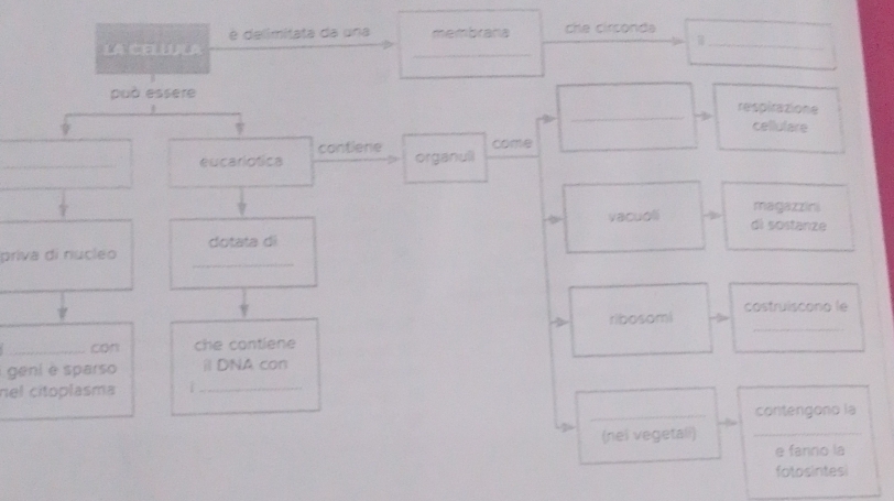 é delimitata da una 
LA CELLULA membrana che circonda_ 
_ 
_ 
può essere respirazione 
cellulare 
contiene come 
_eucariotica organuli 
magazzini 
vacuoli di sostanze 
dotata di 
_ 
priva di nucleo 
_ 
ribosomi costruiscono le 
_con che contiene 
_ 
geni é sparso il DNA con 
nel cítoplasma 
_contengono la 
(nel vegetali)_ 
e fanno la 
fotosintesi