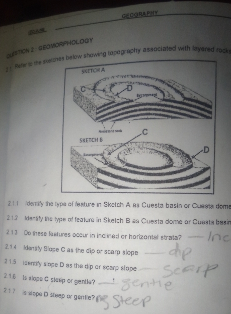 GEOGRAPHY 
QUESTION 2 : GEOMORPHOLOGY 
2 1 Refer to the sketches below showing topography associated with layered rock 
2 1.1 Identify the type of feature in Sketch A as Cuesta basin or Cuesta dome 
2 1.2 Identify the type of feature in Sketch B as Cuesta dome or Cuesta basin 
2.1.3 Do these features occur in inclined or horizontal strata? 
2.1.4 Identify Slope C as the dip or scarp slope 
215 5 identify slope D as the dip or scarp slope 
2.1.6 Is slope C steep or gentle? 
2 17 is slope D steep or gentle?