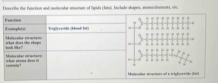 Describe the function and molecular structure of lipids (fats). Include shapes, atoms/elements, etc.
ar structure of a triglyceride (fat)