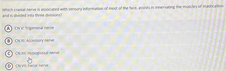 Which cranial nerve is associated with sensory information of most of the face, assists in innervating the muscles of mastication
and is divided into three divisions?
A CN V: Trigeminal nerve
BCN XI: Accessory nerve
C CN XII: Hypoglossal nerve
D CN VII: Facial nerve