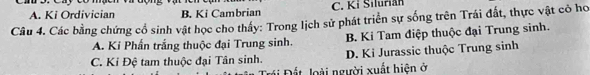 A. Ki Ordivician B. Ki Cambrian C. Ki Silurian
Câu 4. Các bằng chứng cổ sinh vật học cho thấy: Trong lịch sử phát triển sự sống trên Trái đất, thực vật cỏ ho
A. Ki Phấn trắng thuộc đại Trung sinh. B. Ki Tam điệp thuộc đại Trung sinh.
C. Ki Đệ tam thuộc đại Tân sinh. D. Ki Jurassic thuộc Trung sinh
ái Đất loài người xuất hiện ở