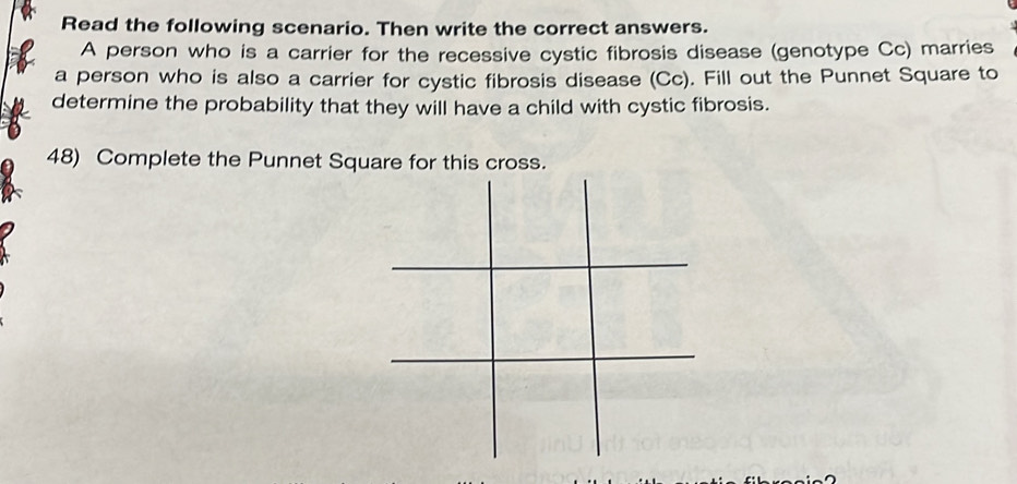 Read the following scenario. Then write the correct answers. 
A person who is a carrier for the recessive cystic fibrosis disease (genotype Cc) marries 
a person who is also a carrier for cystic fibrosis disease (Cc). Fill out the Punnet Square to 
determine the probability that they will have a child with cystic fibrosis. 
48) Complete the Punnet Square for this cross.