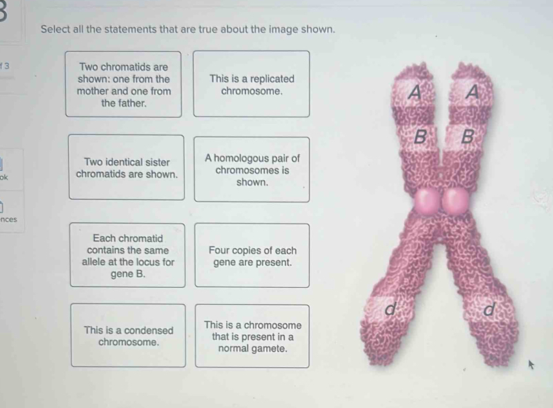 Select all the statements that are true about the image shown.
f 3 Two chromatids are
shown: one from the This is a replicated
mother and one from chromosome.
the father.
Two identical sister A homologous pair of
ok chromatids are shown. chromosomes is
shown.
nces
Each chromatid
contains the same Four copies of each
allele at the locus for gene are present.
gene B.
This is a condensed This is a chromosome
chromosome. that is present in a
normal gamete.