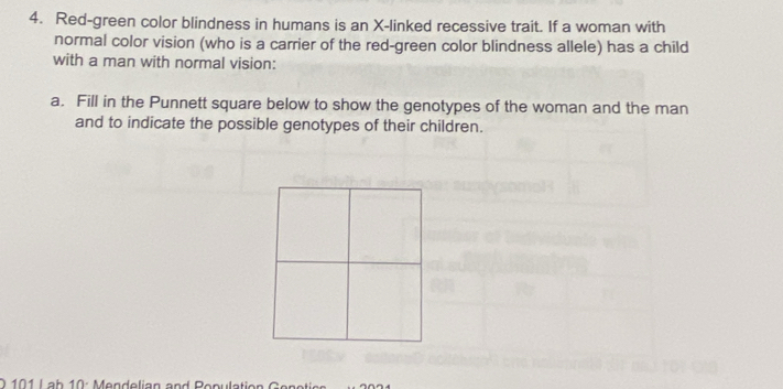 Red-green color blindness in humans is an X -linked recessive trait. If a woman with 
normal color vision (who is a carrier of the red-green color blindness allele) has a child 
with a man with normal vision: 
a. Fill in the Punnett square below to show the genotypes of the woman and the man 
and to indicate the possible genotypes of their children. 
O 101 L ab 10: Mendelian and Ropulation G eno