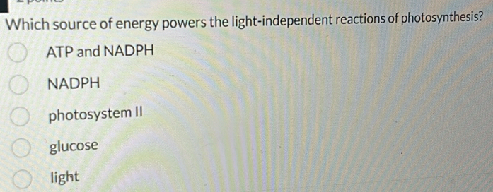 Which source of energy powers the light-independent reactions of photosynthesis?
ATP and NADPH
NADPH
photosystem II
glucose
light