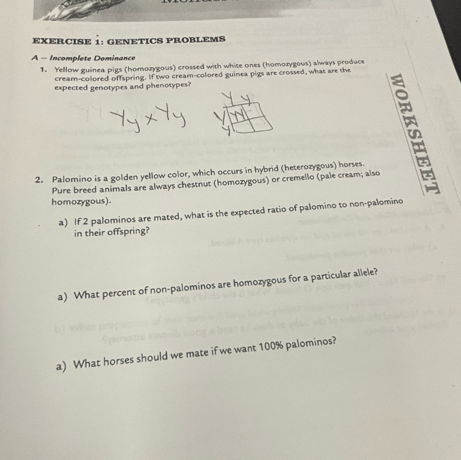 GENETICS PROBLEMS 
A - Incomplete Dominance 
1. Yellow guinea pigs (homozygous) crossed with white ones (homozygous) always produce 
cream-colored offspring. If two cream-colored guinea pigs are crossed, what are the 
expected genotypes and phenotypes? 
2. Palomino is a golden yellow color, which occurs in hybrid (heterozygous) horses. 
Pure breed animals are always chestnut (homozygous) or cremello (pale cream; also 
homozygous). 
a) If 2 palominos are mated, what is the expected ratio of palomino to non-palomino 
in their offspring? 
a) What percent of non-palominos are homozygous for a particular allele? 
a) What horses should we mate if we want 100% palominos?
