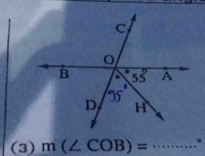 (3) m(∠ COB)= ·s ·s ·s _.