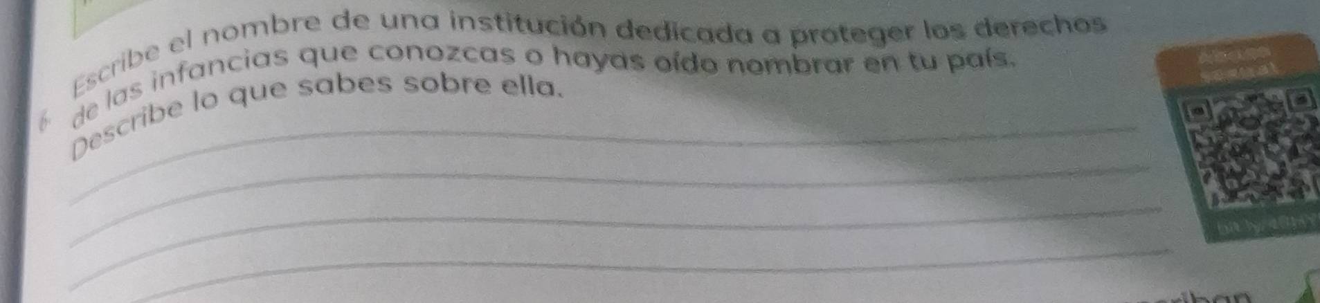 Escribe el nombre de una institución dedicada a proteger los derechos 
de las infancias que conozcas o hayas oído nombrar en tu país. 
_ 
Describe lo que sabes sobre ella. 
_ 
_ 
_