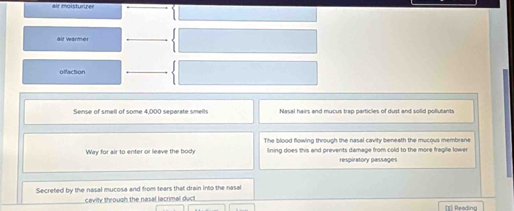 air moisturizer 
air warmer 
olfaction 
Sense of smell of some 4,000 separate smells Nasal hairs and mucus trap particles of dust and solid pollutants 
The blood flowing through the nasal cavity beneath the mucous membrane 
Way for air to enter or leave the body lining does this and prevents damage from cold to the more fragile lower 
respiratory passages 
Secreted by the nasal mucosa and from tears that drain into the nasal 
cavity through the nasal lacrimal duct 
Reading
