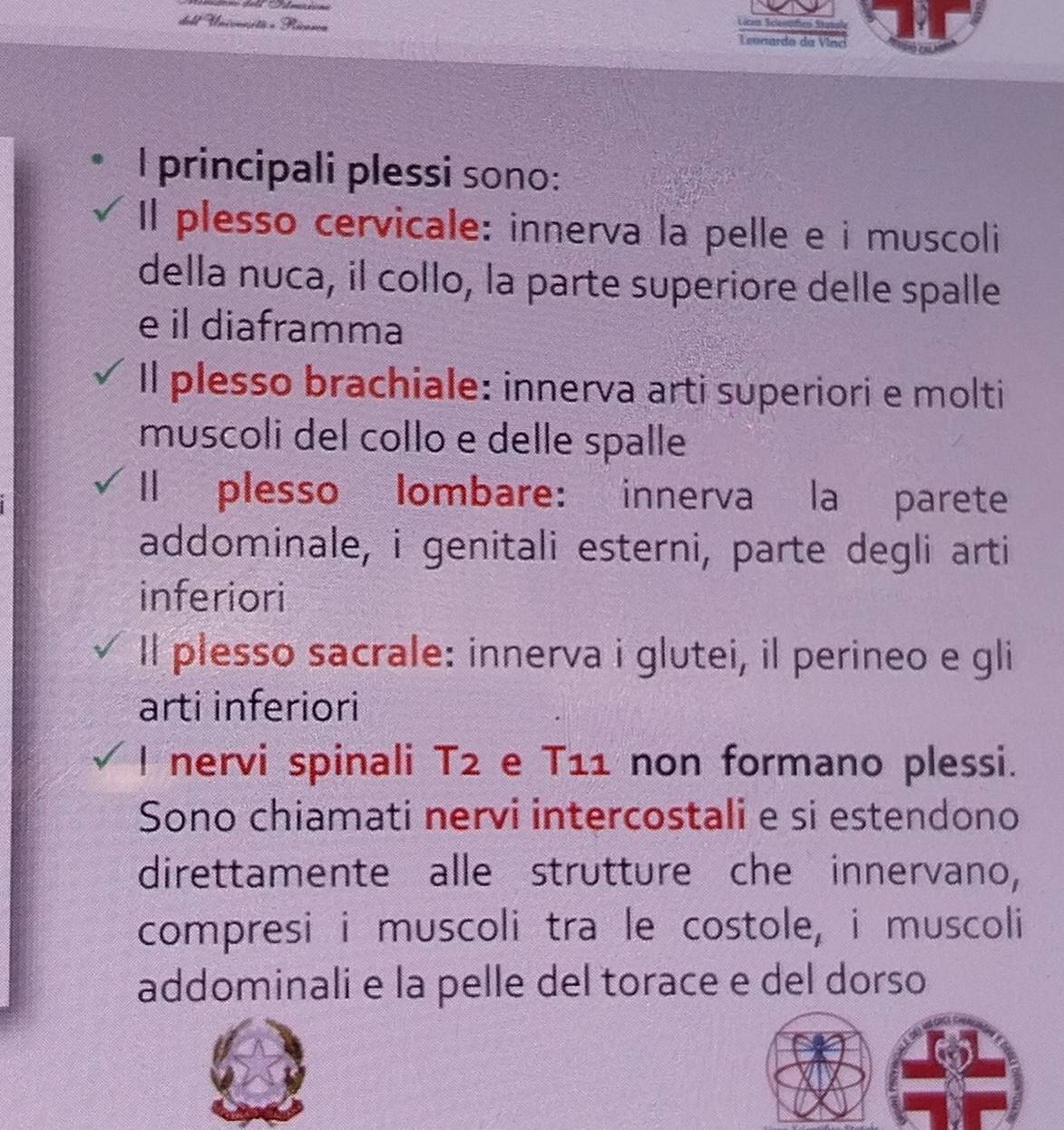 Lécan Sclenutico Stta
del Unicncsté e Pácasoa Leaaarda da Vinc
I principali plessi sono:
Il plesso cervicale: innerva la pelle e i muscoli
della nuca, il collo, la parte superiore delle spalle
e il diaframma
Il plesso brachiale: innerva arti superiori e molti
muscoli del collo e delle spalle
ll plesso lombare: innerva la parete
addominale, i genitali esterni, parte degli arti
inferiori
Il plesso sacrale: innerva i glutei, il perineo e gli
arti inferiori
I nervi spinali T2 e T11 non formano plessi.
Sono chiamati nervi intercostali e si estendono
direttamente alle strutture che innervano,
compresi i muscoli tra le costole, i muscoli
addominali e la pelle del torace e del dorso