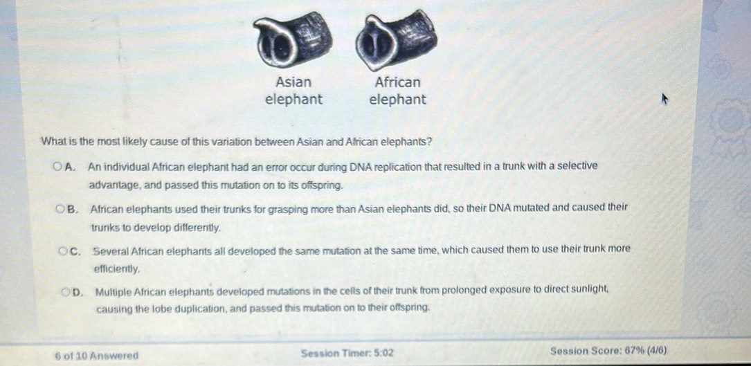 Asian African
elephant elephant
What is the most likely cause of this variation between Asian and African elephants?
A. An individual African elephant had an error occur during DNA replication that resulted in a trunk with a selective
advantage, and passed this mutation on to its offspring.
B. African elephants used their trunks for grasping more than Asian elephants did, so their DNA mutated and caused their
trunks to develop differently.
C. Several African elephants all developed the same mutation at the same time, which caused them to use their trunk more
efficiently.
D. Multiple African elephants developed mutations in the cells of their trunk from prolonged exposure to direct sunlight,
causing the lobe duplication, and passed this mutation on to their offspring.
6 of 10 Answered Session Timer: 5:02 Session Score: 67% (4/6)