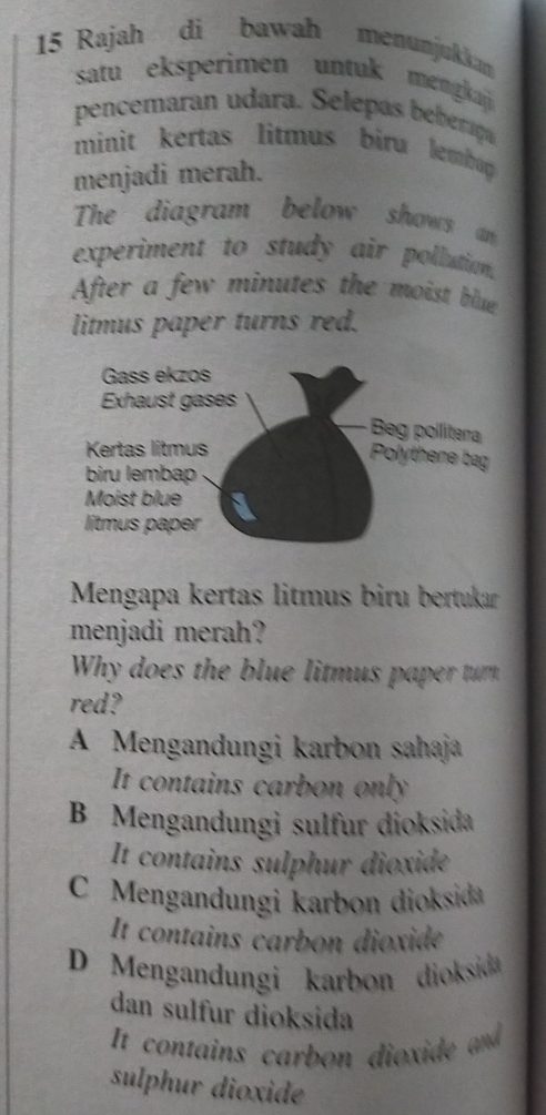 Rajah di bawah menunjukkan
satu eksperimen untuk mengkaj 
pencemaran udara. Selepas beberça
minit kertas litmus biru lembug 
menjadi merah.
The diagram below shows an
experiment to study air pollution.
After a few minutes the moist blue
litmus paper turns red.
Mengapa kertas litmus biru bertukar
menjadi merah?
Why does the blue litmus paper tum 
red?
A Mengandungi karbon sahaja
It contains carbon only
B Mengandungi sulfur dioksida
It contains sulphur dioxide
C Mengandungi karbon dioksida
It contains carbon dioxide
D Mengandungi karbon dioksida
dan sulfur dioksida
It contains carbon dioxide and
sulphur dioxide