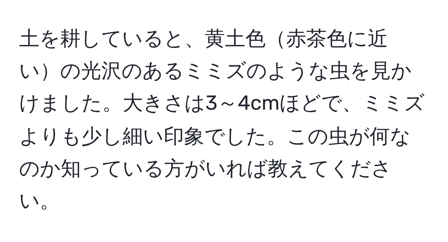 土を耕していると、黄土色赤茶色に近いの光沢のあるミミズのような虫を見かけました。大きさは3～4cmほどで、ミミズよりも少し細い印象でした。この虫が何なのか知っている方がいれば教えてください。