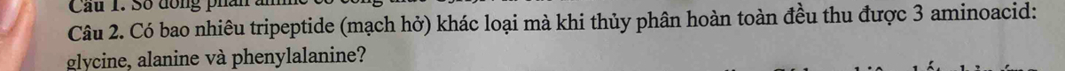 Cau 1. Số đồng phân 
Câu 2. Có bao nhiêu tripeptide (mạch hở) khác loại mà khi thủy phân hoàn toàn đều thu được 3 aminoacid: 
glycine, alanine và phenylalanine?