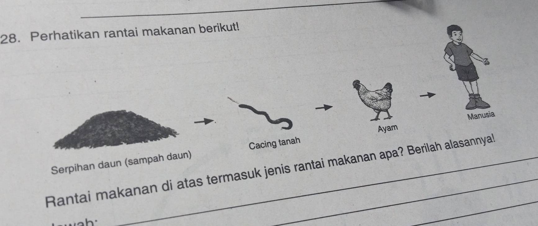 Perhatikan rantai makanan berikut! 
Manusia 
Ayam 
Serpihan daun (sampah daun) Cacing tanah 
_ 
Rantai makanan di atas termasuk jenis rantai makanan apa? Berilah alasannyal