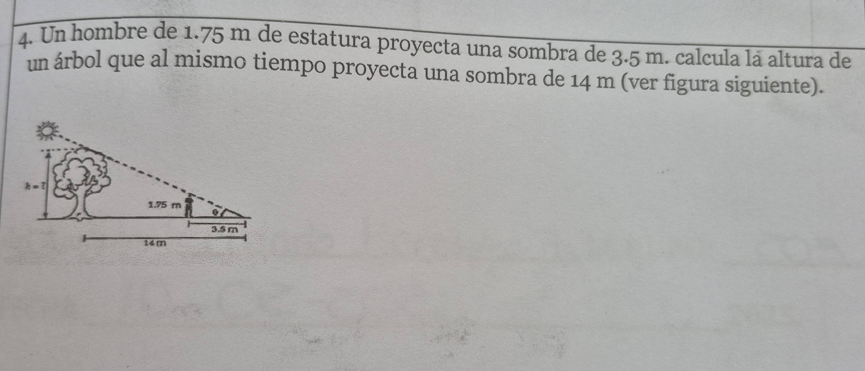 Un hombre de 1.75 m de estatura proyecta una sombra de 3.5 m. calcula là altura de
un árbol que al mismo tiempo proyecta una sombra de 14 m (ver figura siguiente).