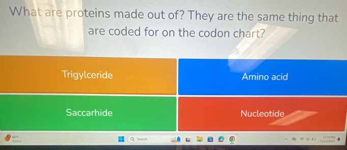 What are proteins made out of? They are the same thing that
are coded for on the codon chart?
Trigylceride Amino acid
Saccarhide Nucleotide
66° Sunny
Search 11/12/2034 12 10 PM