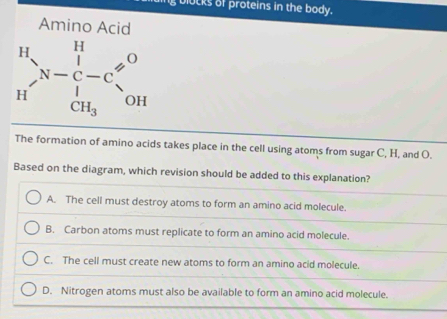 blUcks of proteins in the body.
Amino Acid
_H^((H-beginarray)r) H c C_C^1^G^O
The formation of amino acids takes place in the cell using atoms from sugar C, H, and O.
Based on the diagram, which revision should be added to this explanation?
A. The cell must destroy atoms to form an amino acid molecule.
B. Carbon atoms must replicate to form an amino acid molecule.
C. The cell must create new atoms to form an amino acid molecule.
D. Nitrogen atoms must also be available to form an amino acid molecule.