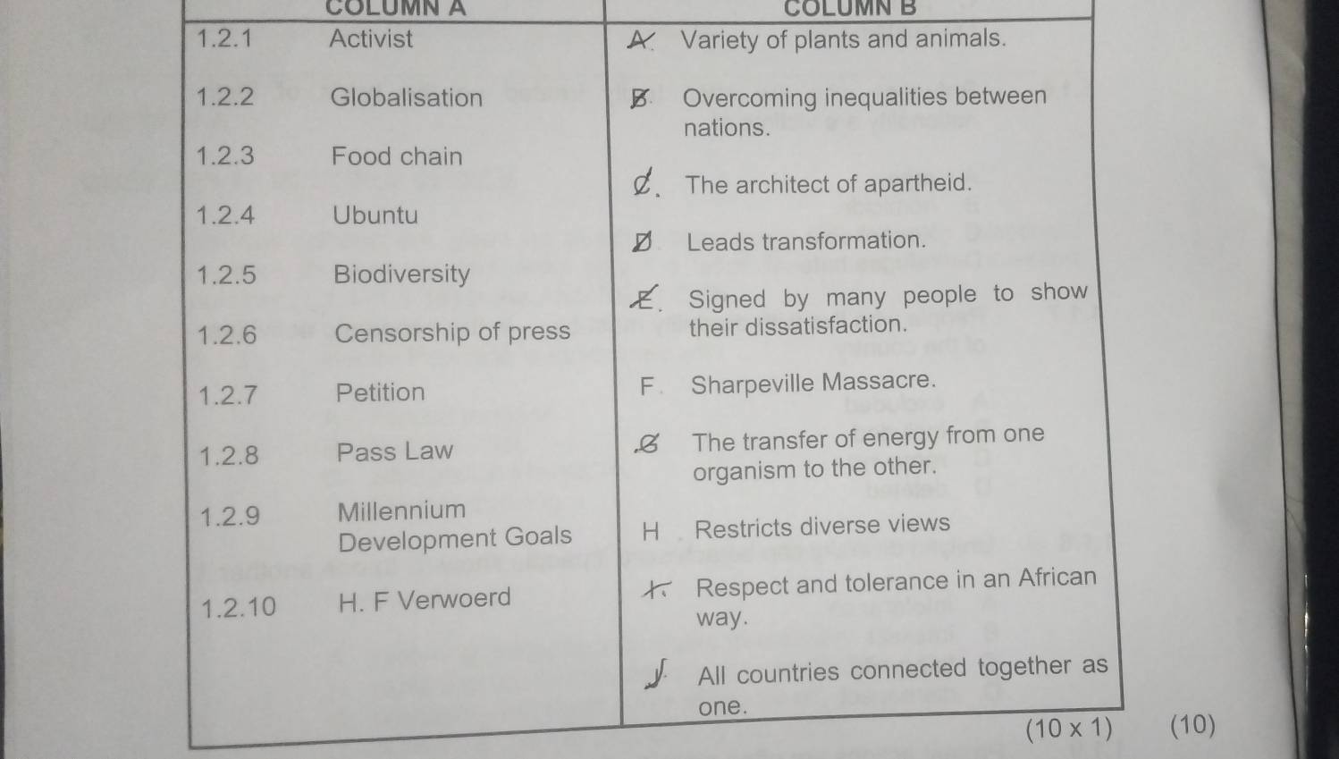 COLUMN A COLUMN B 
1.2.1 Activistmals
(10* 1) (10)