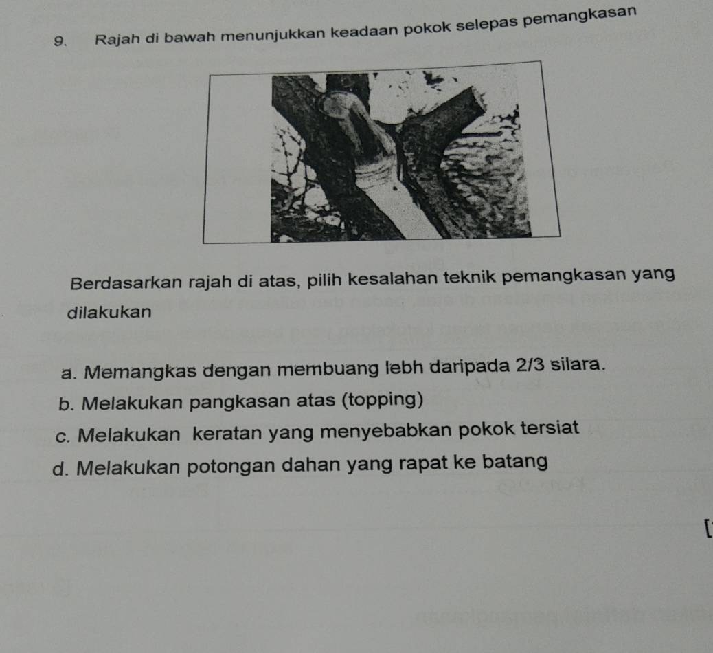 Rajah di bawah menunjukkan keadaan pokok selepas pemangkasan
Berdasarkan rajah di atas, pilih kesalahan teknik pemangkasan yang
dilakukan
a. Memangkas dengan membuang lebh daripada 2/3 silara.
b. Melakukan pangkasan atas (topping)
c. Melakukan keratan yang menyebabkan pokok tersiat
d. Melakukan potongan dahan yang rapat ke batang