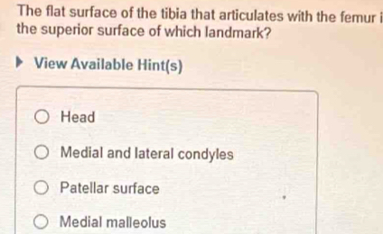 The flat surface of the tibia that articulates with the femur i
the superior surface of which landmark?
View Available Hint(s)
Head
Medial and lateral condyles
Patellar surface
Medial malleolus