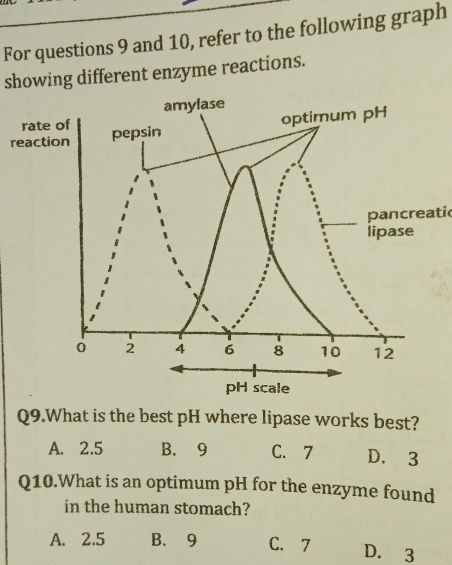 For questions 9 and 10, refer to the following graph
showing different enzyme reactions.
rat
reac
pancreati
pH scale
Q9.What is the best pH where lipase works best?
A. 2.5 B. 9 C. 7 D. 3
Q10.What is an optimum pH for the enzyme found
in the human stomach?
A. 2.5 B. 9 C. 7 D. 3