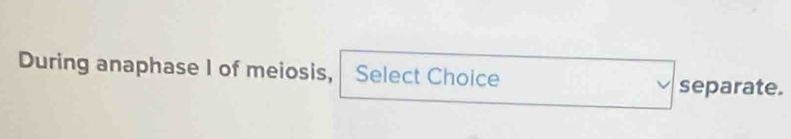 During anaphase I of meiosis, Select Choice 
separate.