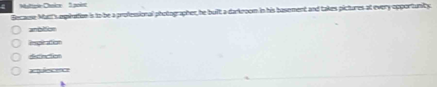 Naitiple Chnice 1 poire
Because Mati's esplation is to be a professional photographer, he built a darkroom in his basement and takes pictures at every opportunity.
anibition
insplcation
distinction
e=tfeseence