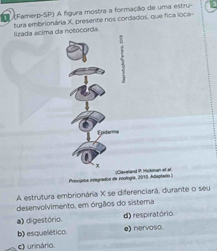 (Famerp-SP) A figura mostra a formação de uma estru- a
tura embrionária X, presente nos cordados, que fica loca-
lizada acima da notocorda.
veland P. Hickman et al.
Princípios integrados de zoología, 2010. Adaptado.)
A estrutura embrionária X se diferenciará, durante o seu
desenvolvimento, em órgãos do sistema
a) digestório. d) respiratório.
b) esquelético. e) nervoso.
c) urinário.