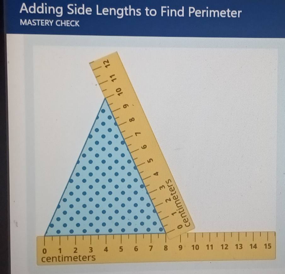 Adding Side Lengths to Find Perimeter 
MASTERY CHECK