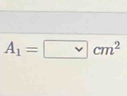 A_1=□ cm^2