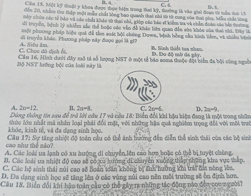 B. 4. C. 6. D. 8.
Câu 15. Một kỹ thuật y khoa được thực hiện trong thai kỳ, thường là vào giai đoạn từ tuần thứ 15
đến 20, nhằm thu thập một mẫu chất lỏng bao quanh thai nhi từ tử cung của thai phụ. Mẫu chất lỏng
này chứa các tế bào và các chất khác từ thại nhi, giúp các bác sĩ kiểm tra và chẩn đoán các bất thường
di truyền, bệnh lý nhiễm sắc thể hoặc các vấn đề khác liên quan đến sức khỏe của thai nhi. Đây là
một phương pháp hiệu quả đề tầm soát hội chứng Down, bệnh hồng cầu hình liềm, và nhiều bệnh
di truyền khác. Phương pháp này được gọi là gl?
A. Siêu âm. B. Sinh thiết tua nhau.
C. Chọc dò dịch ối. D. Đo độ mờ da gáy.
Câu 16. Hình dưới đây mô tả số lượng NST ở một tế bào soma thuộc đột biến đa bội cùng nguồi
Bộ NST lưỡng bội của loài này là
A. 2n=12. B. 2n=8. C. 2n=6. D. 2n=9.
Dùng thông tin sau để trả lời câu 17 và cầu 18: Biến đổi khí hậu hiện đang là một trong nhữn
thức lớn nhất mà nhân loại phải đối mặt, với những hậu quả nghiêm trọng đối với môi trưở
khỏe, kinh tế, và đa dạng sinh học.
Câu 17: Sự tăng nhiệt độ toàn cầu có thể ảnh hưỡng đến diễn thế sinh thái của các hệ sinh
cao như thế nào?.
A. Các loài ưa lạnh có xu hướng di chuyển lên cao hợn hoặc có thể bị tuyệt chùng.
B. Các loài ưa nhiệt độ cao sẽ có xu hướng di chuyên xuộng thấp những khu vực thấp.
C. Các hệ sinh thái núi cao sẽ hoàn toàn không bị ảnh hưởng khi trái đất nóng lên.
D. Đa dạng sinh học sẽ tăng lên ở các vùng núi cao nên môi trường sẽ ồn định hơn.
Câu 18. Biến đổi khí hậu toàn cầu có thể gây ra những tác động nào đến con người?