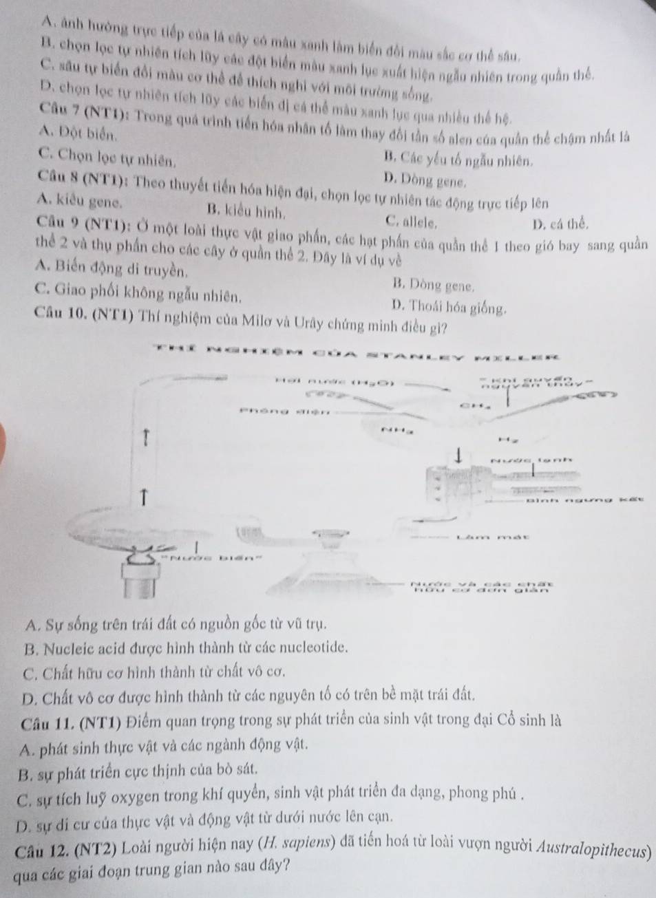 A. ảnh hưởng trực tiếp của lá cây có màu xanh làm biển đổi màu sắc cơ thể sâu.
B. chọn lọc tự nhiên tích lũy các đột biển màu xanh lục xuất hiện ngẫu nhiên trong quần thể.
C. sâu tự biển đổi màu cơ thể để thích nghi với môi trường sống.
D. chọn lọc tự nhiên tích lũy các biển đị cá thể màu xanh lục qua nhiều thể hệ.
Câu 7 (NT1): Trong quá trình tiến hóa nhân tố làm thay đổi tần số alen của quân thể chậm nhất là
A. Đột biển.
B. Các yếu tố ngẫu nhiên.
C. Chọn lọc tự nhiên. D. Dòng gene.
Câu 8 (NT1): Theo thuyết tiền hóa hiện đại, chọn lọc tự nhiên tác động trực tiếp lên
A. kiêu gene. B. kiểu hình. C. allele.
D. cá thể.
Câu 9 (NT1): Ở một loài thực vật giao phần, các hạt phần của quần thể 1 theo gió bay sang quần
thể 2 và thụ phần cho các cây ở quần thể 2. Đây là ví dụ về
A. Biến động di truyền. B. Dòng gene.
C. Giao phối không ngẫu nhiên. D. Thoái hóa giống.
Câu 10. (NT1) Thí nghiệm của Milơ và Urây chứng minh điều gi?
T
,  
Binh ngưny kết
Lâm mát
c   v à các châ
A. Sự sống trên trái đất có nguồn gốc từ vũ trụ.
B. Nucleic acid được hình thành từ các nucleotide.
C. Chất hữu cơ hình thành từ chất vô cơ.
D. Chất vô cơ được hình thành từ các nguyên tố có trên bề mặt trái đất.
Câu 11. (NT1) Điểm quan trọng trong sự phát triển của sinh vật trong đại Cổ sinh là
A. phát sinh thực vật và các ngành động vật.
B. sự phát triển cực thịnh của bò sát.
C. sự tích luỹ oxygen trong khí quyển, sinh vật phát triển đa dạng, phong phú .
D. sự đi cư của thực vật và động vật từ dưới nước lên cạn.
Câu 12. (NT2) Loài người hiện nay (H. sapiens) đã tiến hoá từ loài vượn người Australopithecus)
qua các giai đoạn trung gian nào sau đây?