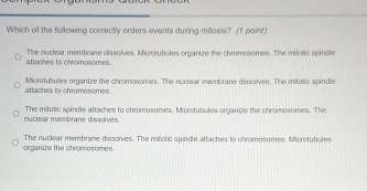 Which of the follawing correctly orders events during mitosis? (f point
attaches to chromosomes. The nuclear membrane cissolves. Microtubules organize the chromosomes. The milotic spindle
Microtubules organize the chromosomes. The nuclear membrane dissolves. The mitolic spindle
attaches to chromosomes 
nuclear membrane dissolves. The mitotic spincle attaches to chromosomes. Microtubules organize the chromosomes. The
organize the chromosomes. The nuclear membrane dissolves. The mitotic spindle attaches to chromosomes. Microtubules