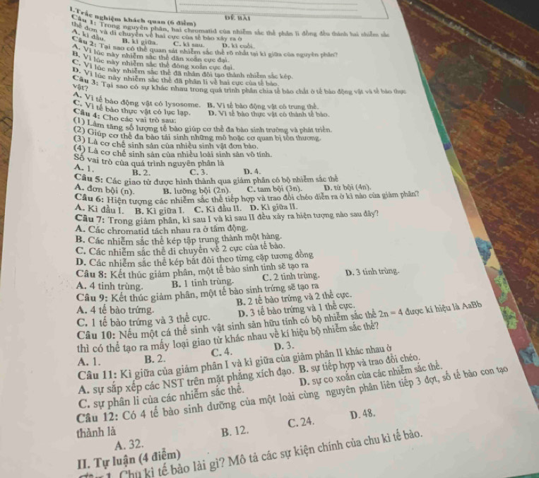 Trắc nghiệm khách quan (6 điểm)
Đế bài
Cầu 1: Trong nguyên phân, hai chromatid của nhiễm sắc thể phầp là đồng đều thành hai nhiềm sắ
Thể đơn và đi chuyển về hai cực của tế bào xây ra ở
A. ki đầu.
B. ki giữa C. ki sau. D. ki cuối
Cầu 2: Tại sao có thể quan sát nhiêm sắc thể rõ nhất tại kì giữa của nguyên phầnh
Vì lúc này nhiêm sắc thể dân xoấn cực đại
B. Vi lúc này nhiêm sắc thể đông xoãn cực đai
D Vi lúc này nhiêm sắc thể đã nhân đôi tạo thành nhiễm sắc kếp
C Vi lúc này nhiễm sắc thể đã phân lí về hai cực của tế bào
Cầu 3: Tại sao có sự khác nhau trong quá trình phân chia tế bảo chất ở tế bảo động vật và tế bảo thực
vậ?
A Vì tế bào động vật có lysosome. B. Vì tế bào động vật có trung thể.
C. Vì tế bào thực vật có lục lạp. D. Vì tế bào thực vật có thành tế bào.
Câu 4: Cho các vai trò sau:
(1) Làm tăng số lượng tế bào giúp cơ thể đa bào sinh trường và phát triển
(2) Giúp cơ thể đa bào tái sinh những mô hoặc cơ quan bị tồn thương
(3) Là cơ chế sinh sản của nhiều sinh vật đơn bào.
(4) Là cơ chế sinh sản của nhiều loài sinh sản vô tính
Số vai trò của quá trình nguyên phân là
A. 1.
B. 2. C. 3. D. 4.
Câu 5: Các giao từ được hình thành qua giảm phân có bộ nhiễm sắc thể
A. đơn bội (n). B. lưỡng bội (2n). C. tam bội (3n). D. tứ bội (4n).
Cầu 6: Hiện tượng các nhiêm sắc thể tiếp hợp và trao đổi chéo diễn ra ở ki nào của giảm phần7
A. Kỉ đầu I. B. Kì giữa I. C. Kì đầu II. D. Kì giữa II.
Câu 7: Trong giám phân, kì sau I và kì sau II đều xảy ra hiện tượng nào sau đây?
A. Các chromatid tách nhau ra ở tầm động.
B. Các nhiêm sắc thể kép tập trung thành một hàng.
C. Các nhiểm sắc thể đi chuyên vẻ 2 cực của tế bảo.
D. Các nhiểm sắc thể kép bắt đôi theo từng cập tương đồng
Câu 8: Kết thúc giảm phân, một tế bảo sinh tỉnh sẽ tạo ra
A. 4 tinh trùng.
B. 1 tinh trùng. C. 2 tinh trùng D. 3 tinh trùng.
Câu 9: Kết thúc giảm phân, một tế bào sinh trứng sẽ tạo ra
B. 2 tế bào trứng và 2 thể cực.
A. 4 tế bào trứng. được kí hiệu là AaBb
C. 1 tế bào trứng và 3 thể cực. D. 3 tế bào trứng và 1 thể cực.
Câu 10: Nếu một cá thể sinh vật sinh sản hữu tỉnh có bộ nhiễm sắc thể 2n=4
thì có thể tạo ra mấy loại giao tử khác nhau về kí hiệu bộ nhiễm sắc thể?
A. 1. B. 2. C. 4. D. 3.
Câu 11: Kì giữa của giảm phân I và kì giữa của giảm phận II khác nhau ở
A. sự sắp xếp các NST trên mặt phẳng xích đạo. B. sự tiếp hợp và trao đồi chéo.
C. sự phân li của các nhiễm sắc thể. D. sự co xoắn của các nhiễm sắc thể.
Cầu 12: Có 4 tế bào sinh dưỡng của một loài cùng nguyên phân liên tiếp 3 đợt, số tế bào con tạo
C. 24. D. 48.
thành là B. 12.
A. 32.
* 1 Chủ kì tế bảo lài gì? Mô tả các sự kiện chính của chu kì tế bào.
II. Tự luận (4 điễm)