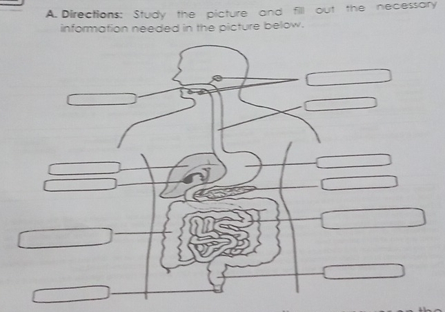 Directions: Study the picture and fill out the necessary 
information needed in the picture below.