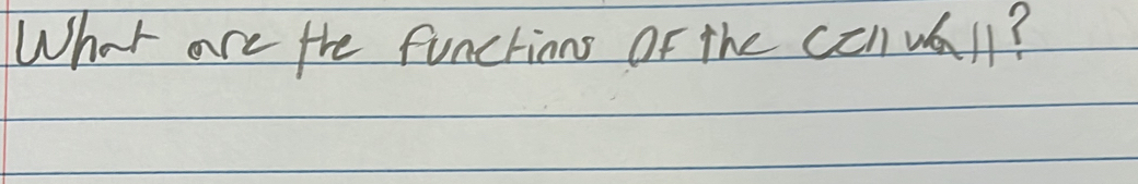 What are the functioms of the ccnuall?