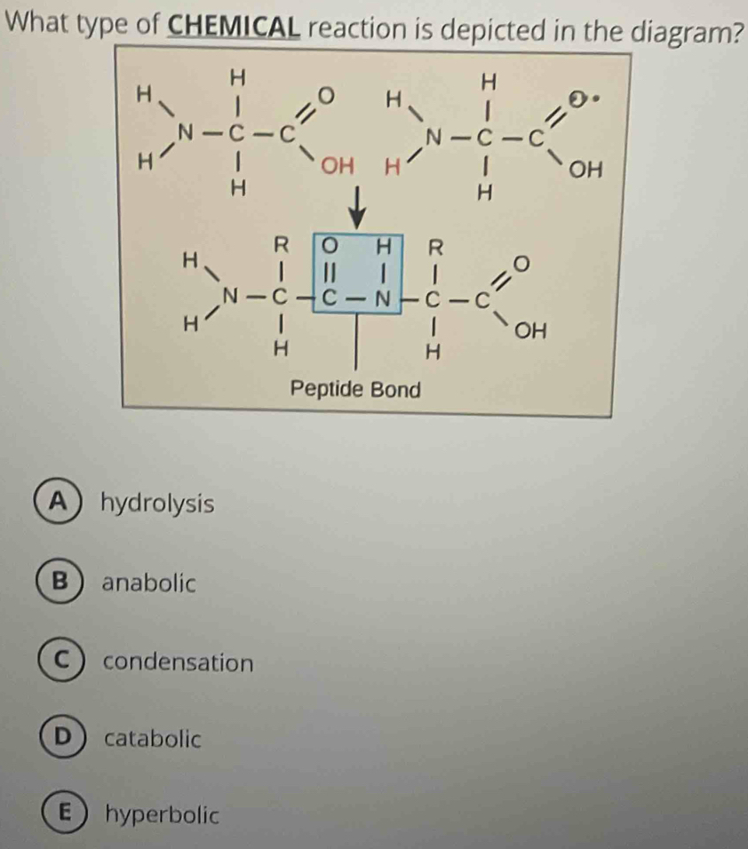 What type of CHEMICAL reaction is depicted in the diagram?
Ahydrolysis
B  anabolic
Ccondensation
Dcatabolic
Ehyperbolic